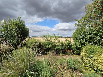 Picture 14